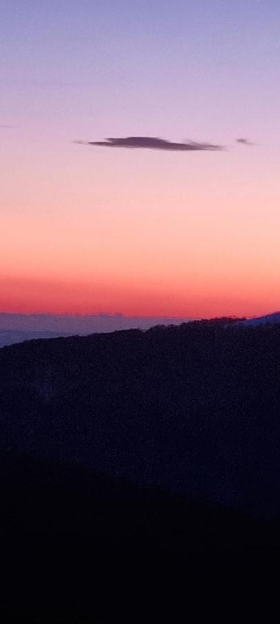 Pensiunea Royal Ranca Εξωτερικό φωτογραφία